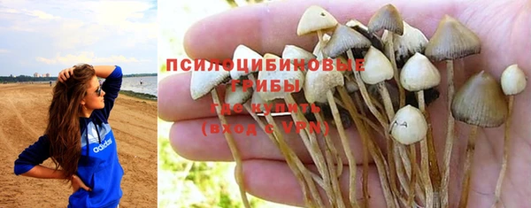 сатива Алексин