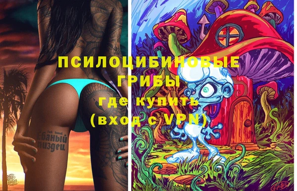сатива Алексин