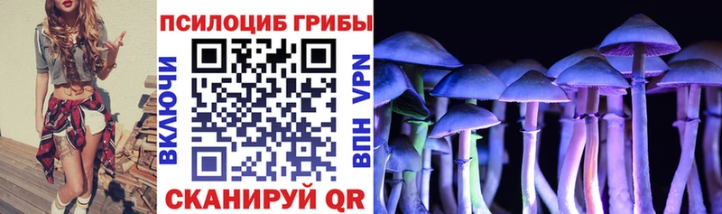 Псилоцибиновые грибы Magic Shrooms  Карпинск 