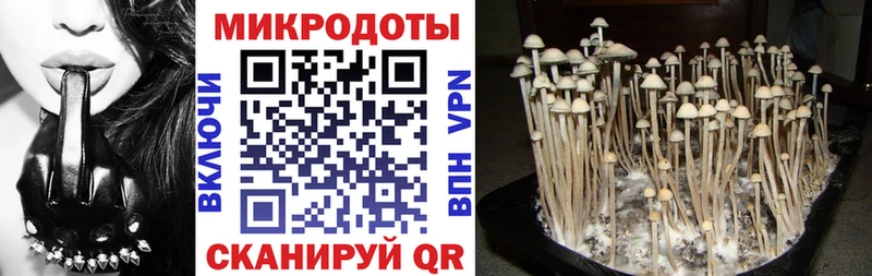 Галлюциногенные грибы мухоморы Карпинск